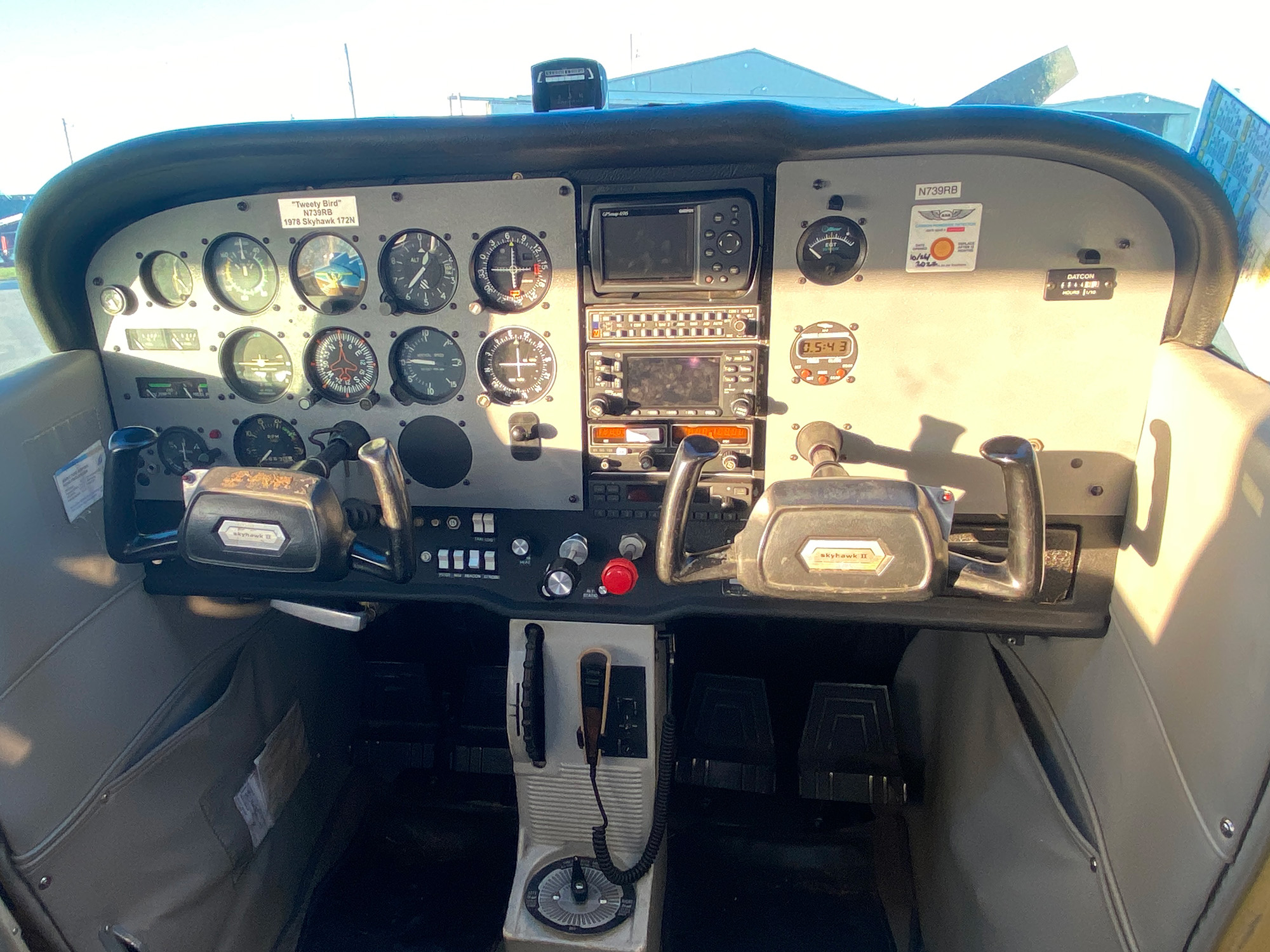 Tweety interior 1